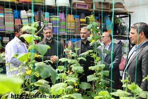 ۱۳۰ هکتار گلخانه در ۳ سال گذشته به بهره‌برداری رسید/ تأمین زیرساخت‌های لازم برای تحقق تولید یک‌میلیون تن محصولات کشاورزی در استان اردبیل