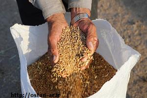 مطالبات گندم‌کاران استان اردبیل پرداخت می‌شود