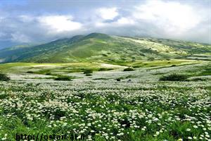 حفاظت از سرمایه محیط زیست، راهبرد اساسی در برنامه‌های پیشرفت استان اردبیل